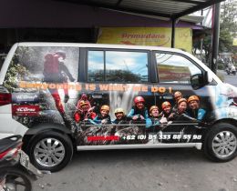 1_dafodil-sticker-bali-10