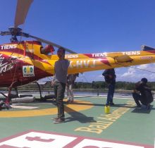 dafodil-sticker-bali-1