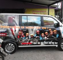 dafodil-sticker-bali-10