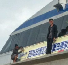 dafodil-sticker-bali-12