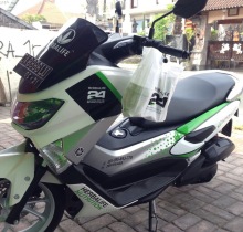 dafodil-sticker-bali-13