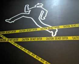 dafodil-sticker-bali-23