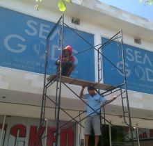 dafodil-sticker-bali-6