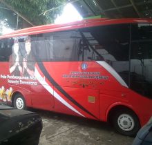 dafodil-sticker-bali-7