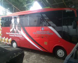dafodil-sticker-bali-7